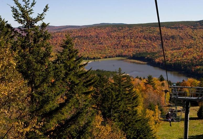 Allegheny Springs Snowshoe Exterior photo