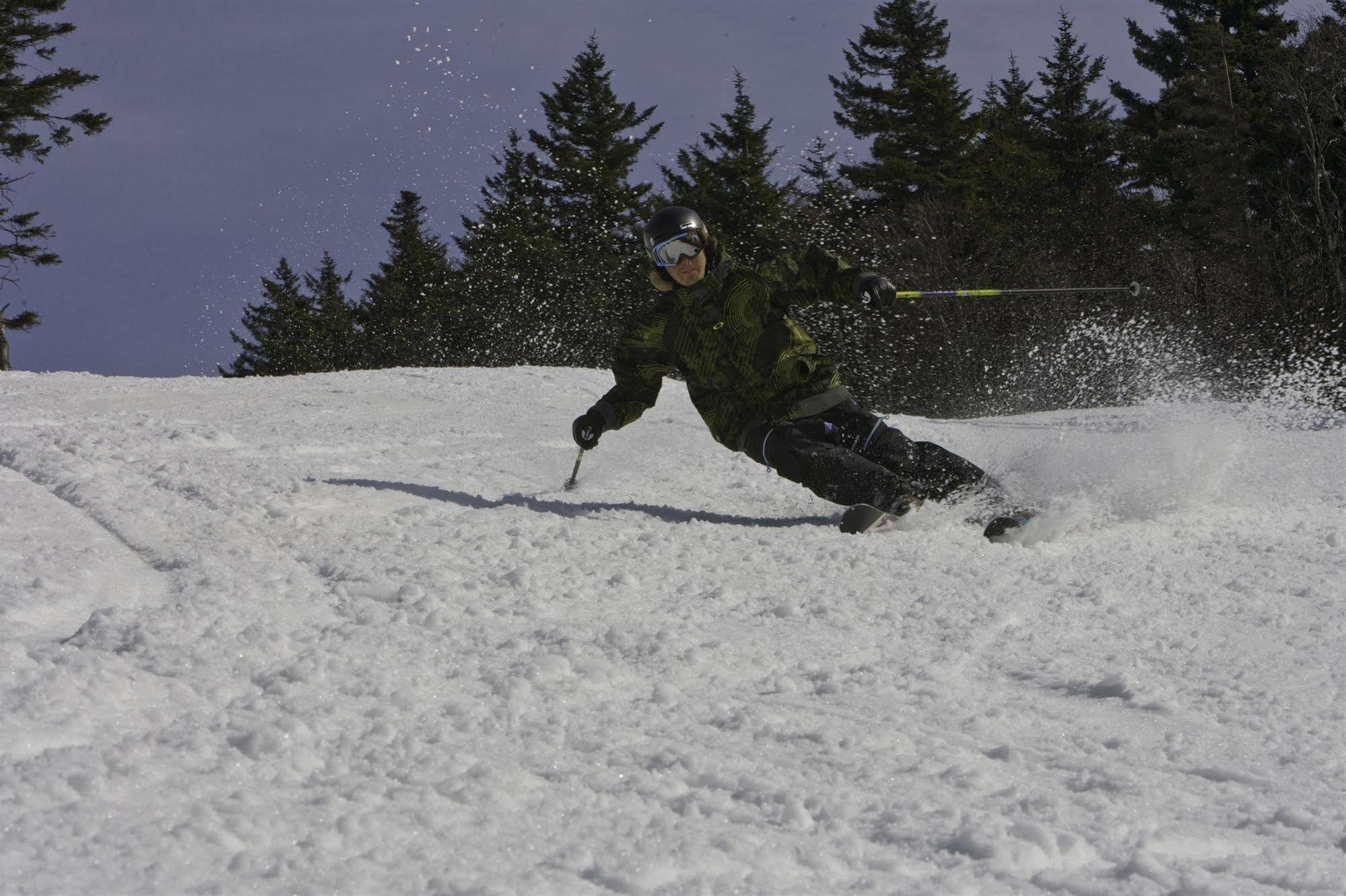 Allegheny Springs Snowshoe Exterior photo