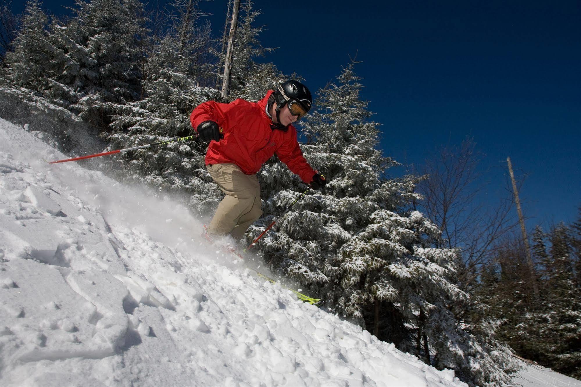 Allegheny Springs Snowshoe Exterior photo