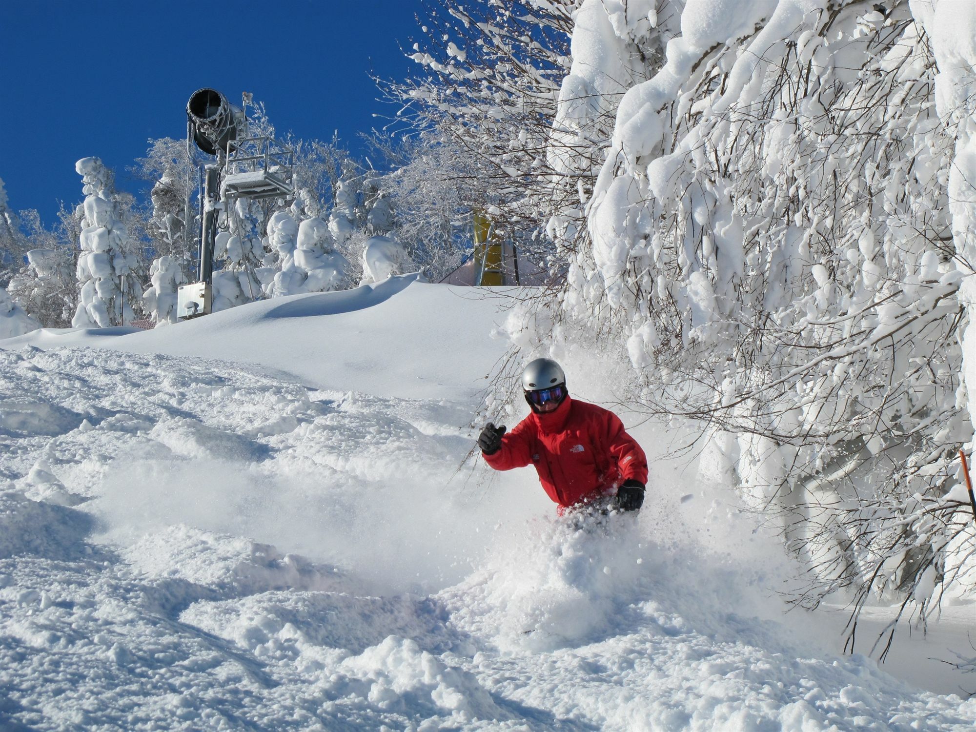 Allegheny Springs Snowshoe Exterior photo