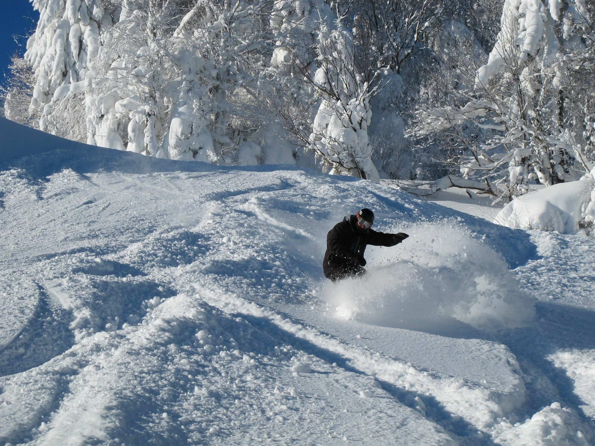Allegheny Springs Snowshoe Exterior photo